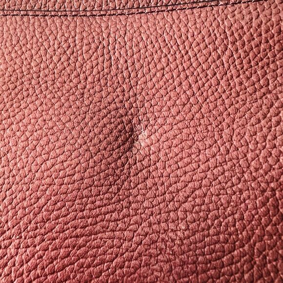 COACH Metallic Cherry Leather Multiple Journal Pop Out Pouch Crossbody Bag - Picture 4 of 15